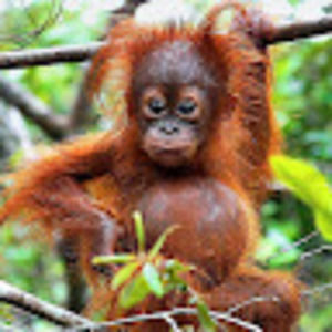 Meet your Posher, Phillip